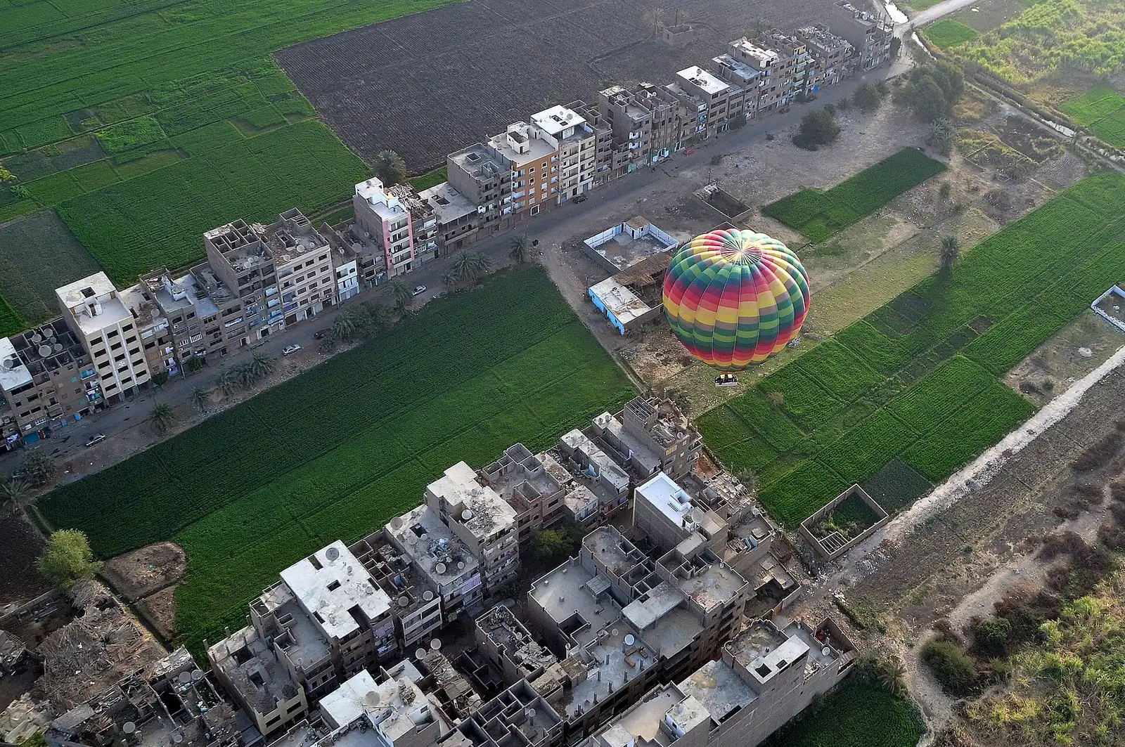 A hot-air balloon landing among green fields and houses on the West Bank, seen from above