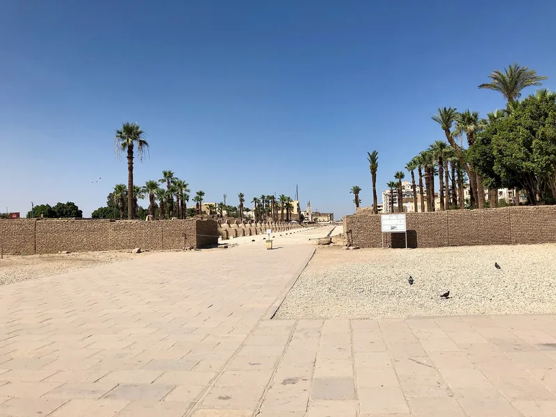 The paved Avenue of Sphinxes running north from Luxor Temple