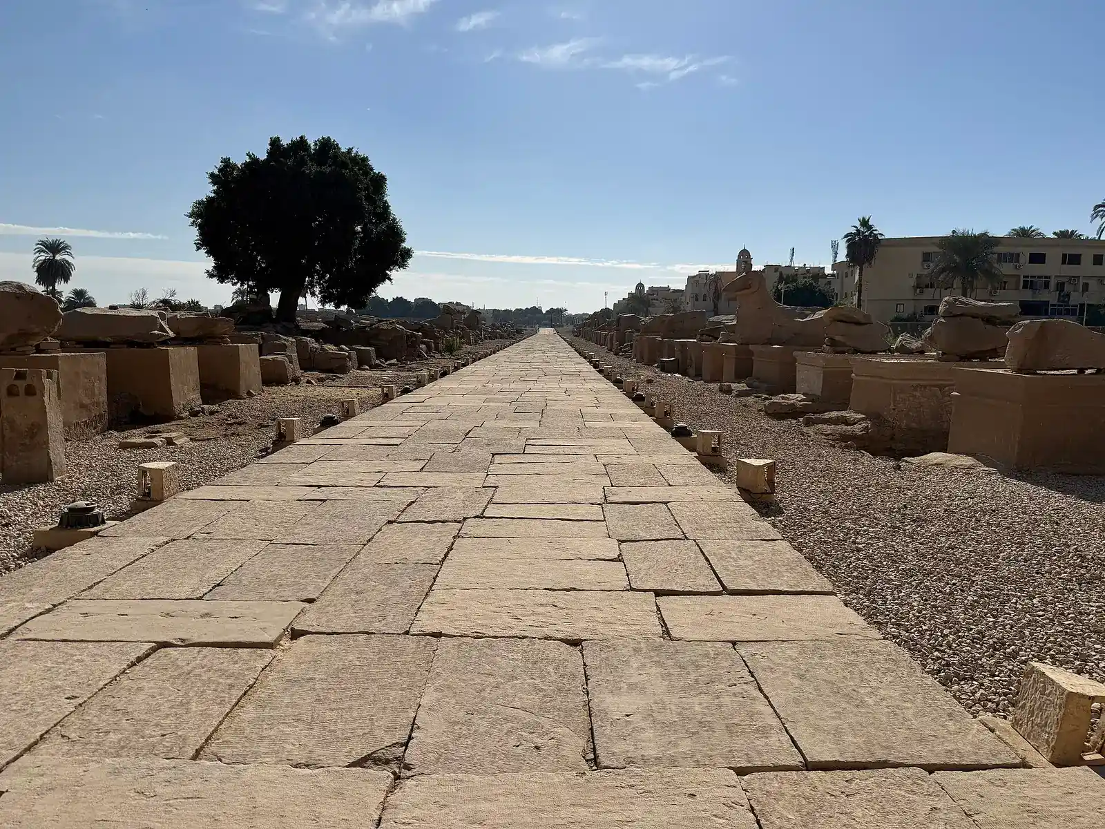 Stone-paved Avenue of Sphinxes in morning light, broken sphinxes on both sides