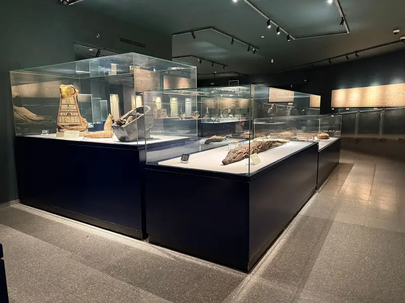 Glass cases with a mummified crocodile and coffins in a gallery of the Mummification Museum