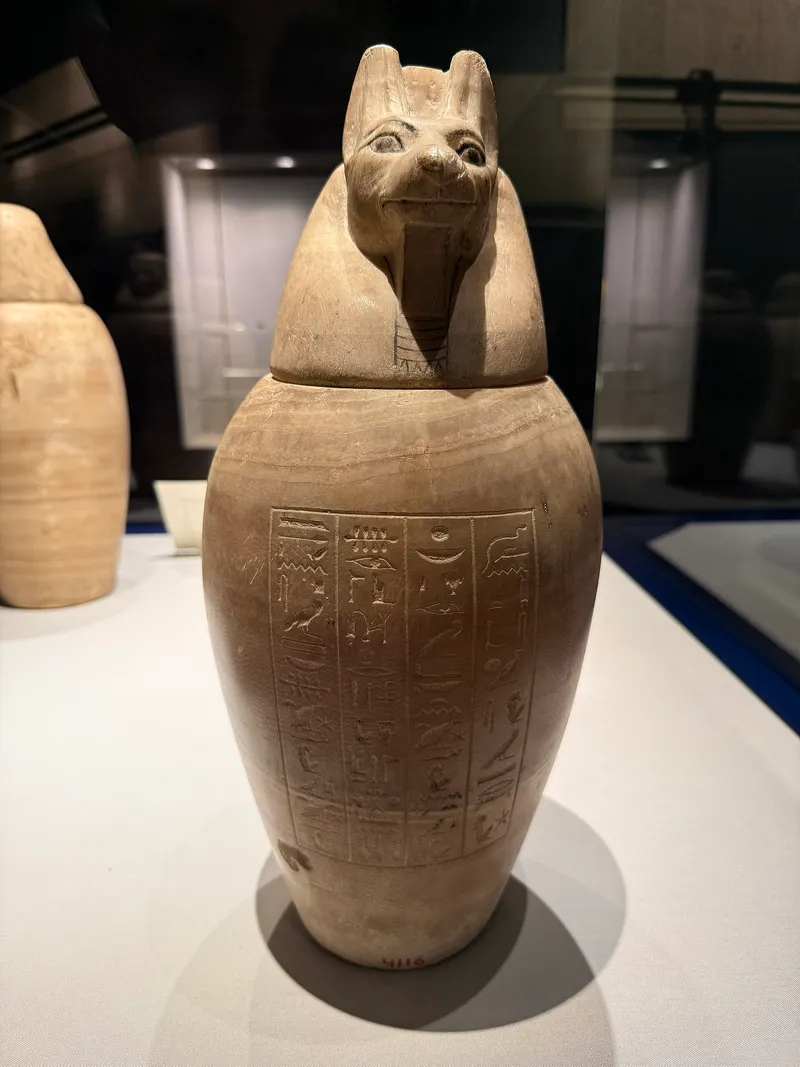 Inscribed stone canopic jar with a jackal-headed lid at the Mummification Museum