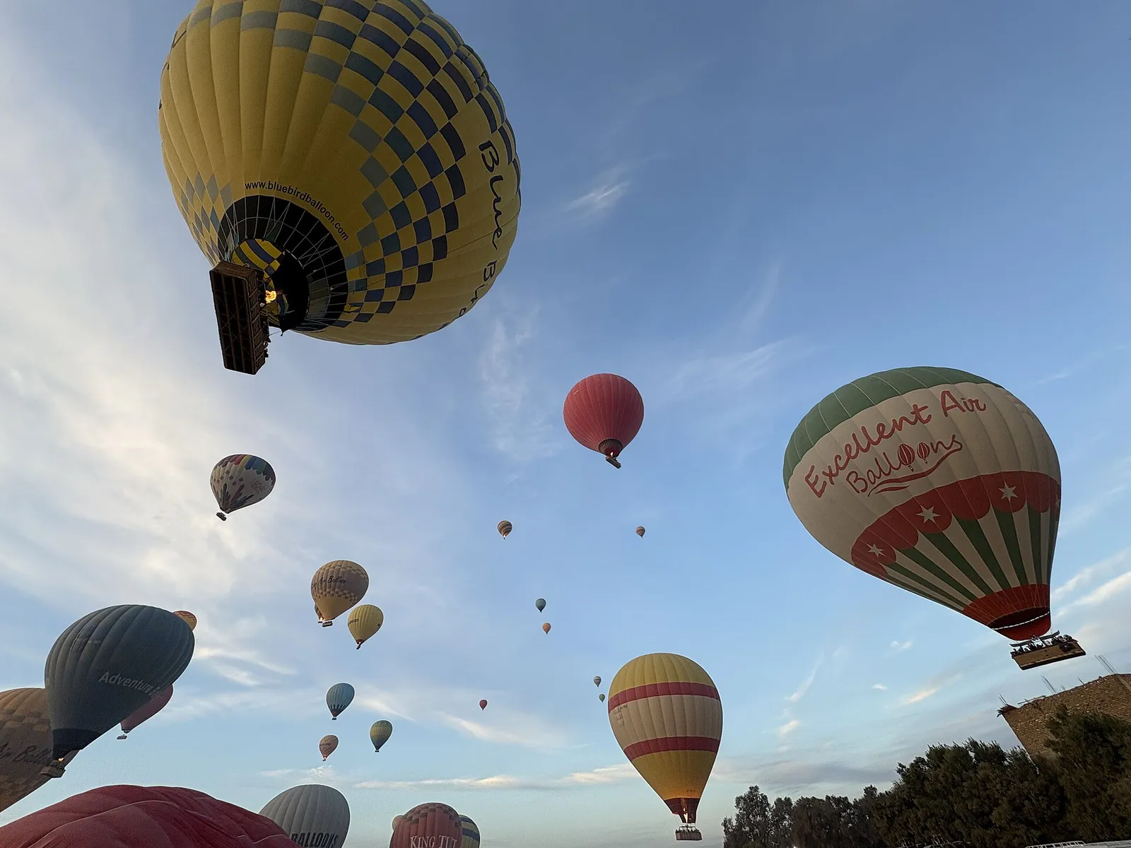 Dozens of hot air balloons in a blue morning sky