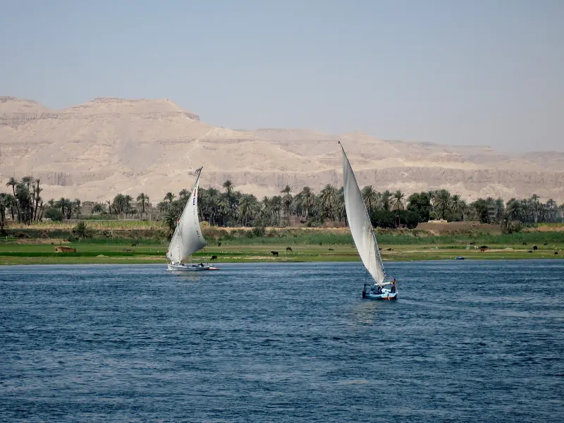 Two feluccas sailing on the Nile below the West Bank cliffs