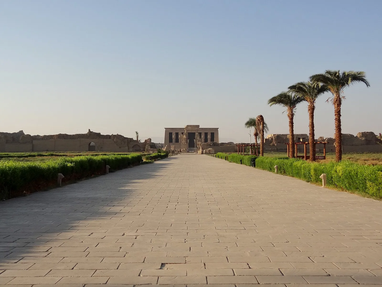 Long paved walkway lined with palms leading to the Dendera temple facade
