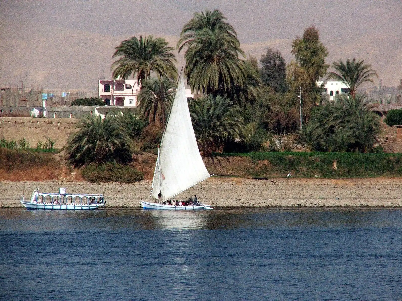 Felucca and a small river boat along the Luxor West Bank shore, palms behind