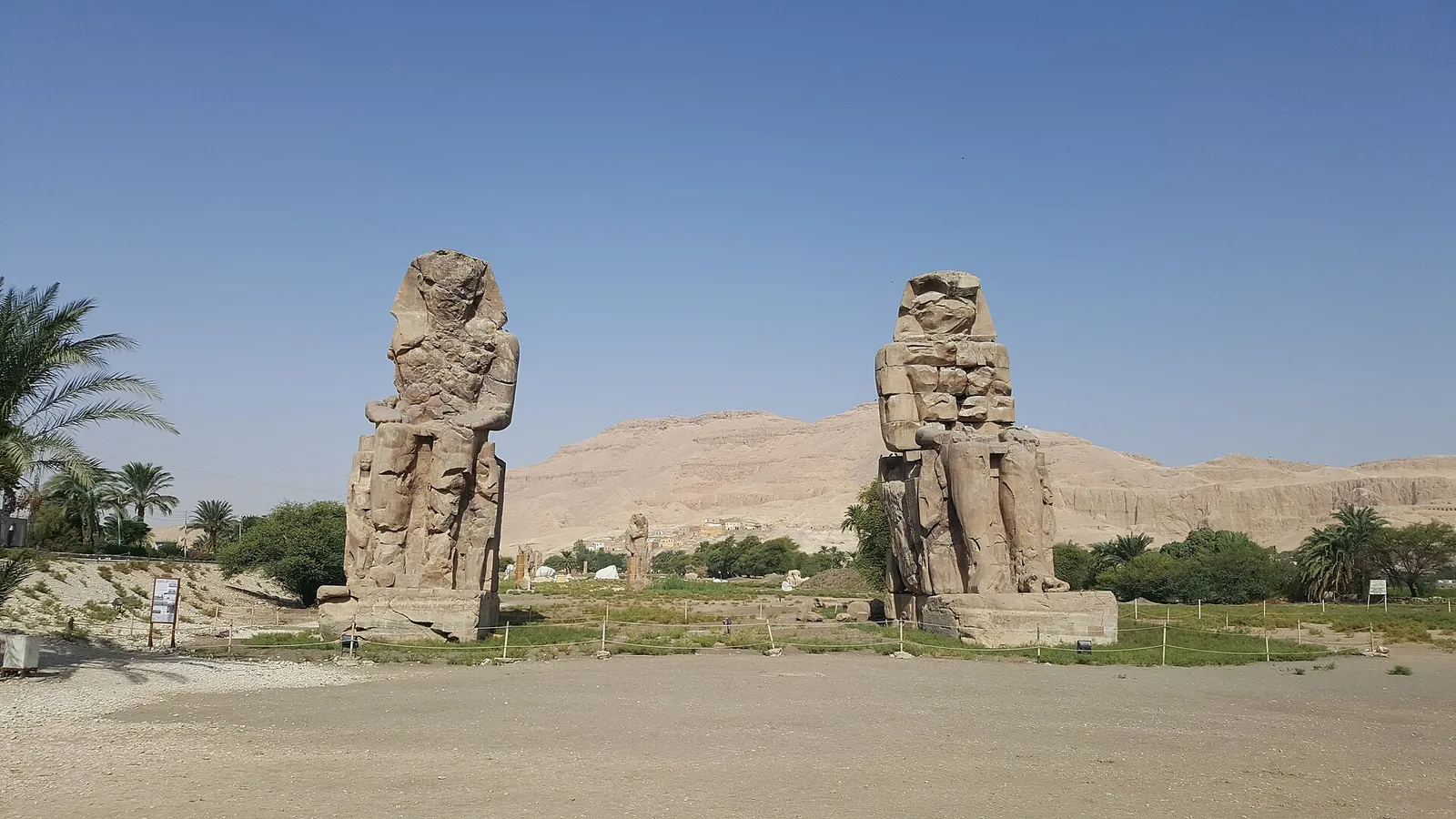The two Colossi of Memnon framed by palms, with the West Bank cliffs beyond
