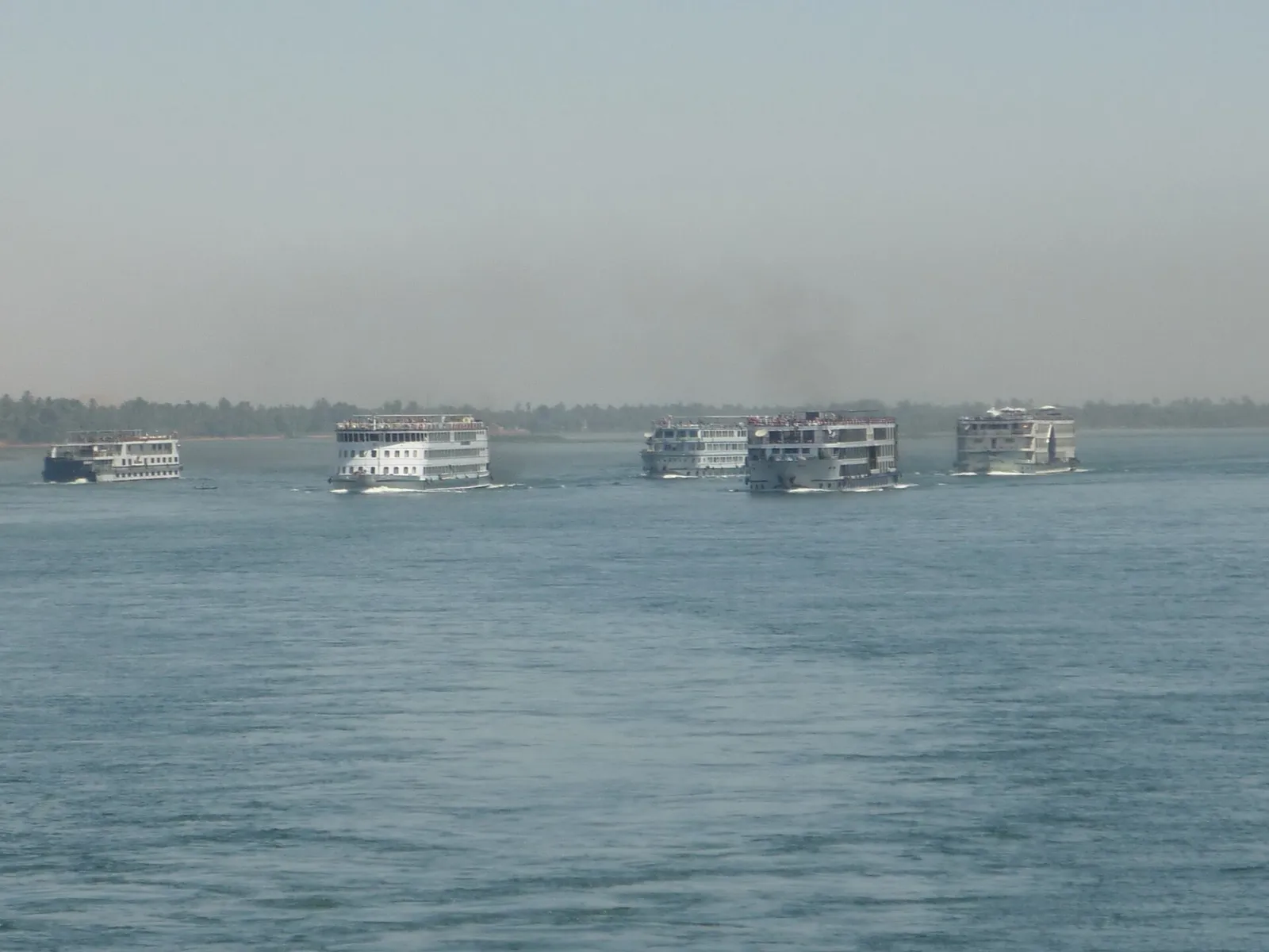 Five Nile cruise ships sailing in a line on a hazy day