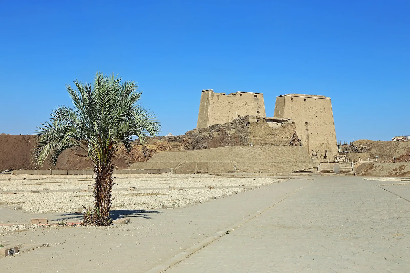 A date palm on the forecourt in front of Edfu temple's twin pylon towers