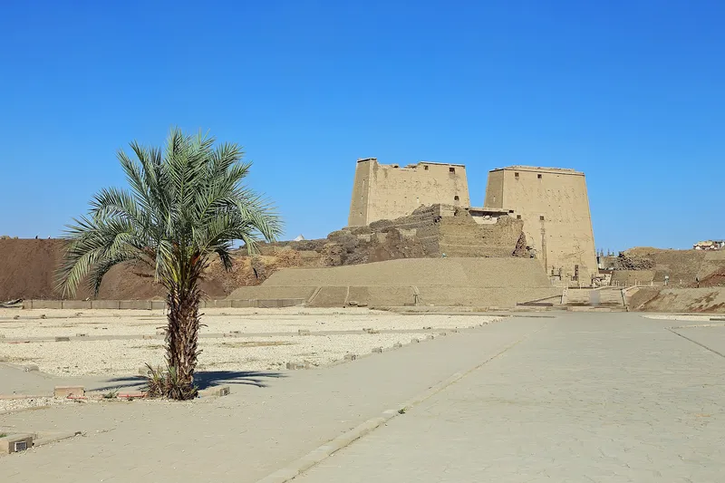 A date palm on the forecourt in front of Edfu temple's twin pylon towers